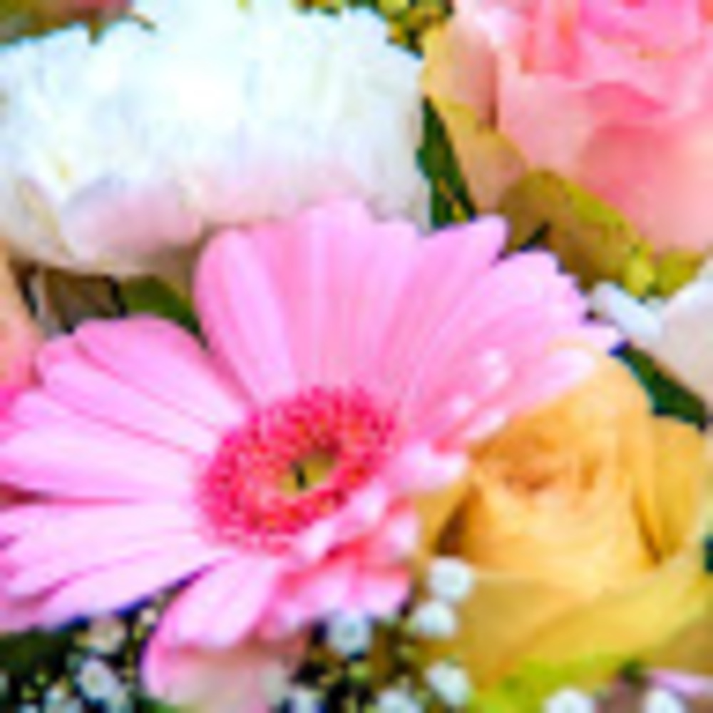 Meet your Posher, Psi